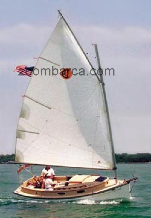 Com Pac Horizon Cat scheda tecnica 